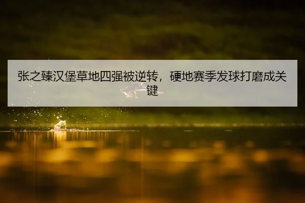张之臻汉堡草地四强被逆转，硬地赛季发球打磨成关键