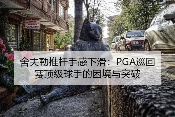 she-fu-lei-tui-gan-shou-gan-xia-hua-xun-hui-sai-ding-ji-qiu-shou-de-kun-jing-yu-tu-po-3-811.jpg