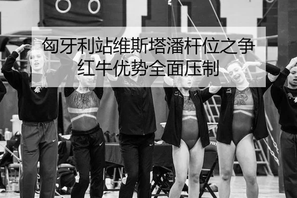 xiong-ya-li-zhan-wei-si-ta-pan-gan-wei-zhi-zheng-hong-niu-you-shi-quan-mian-ya-zhi-3-847.jpg