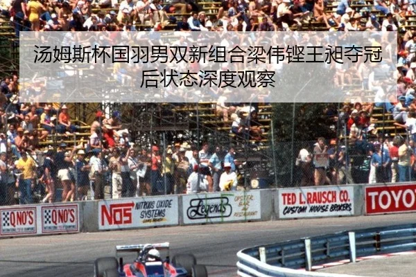 汤姆斯杯国羽男双新组合梁伟铿王昶夺冠后状态深度观察